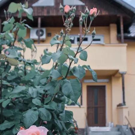 Best Vila Villa